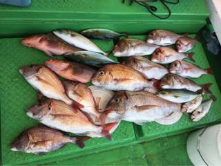 利弥丸（としやまる） 釣果