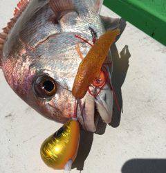 利弥丸（としやまる） 釣果