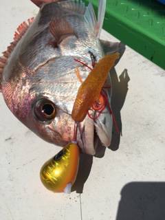 利弥丸（としやまる） 釣果