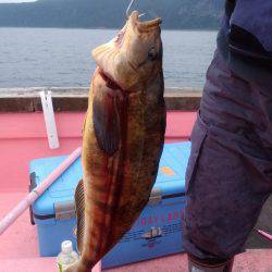 第八平成丸 釣果