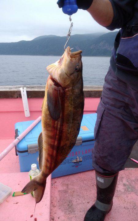 第八平成丸 釣果