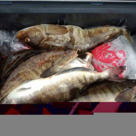 第八平成丸 釣果