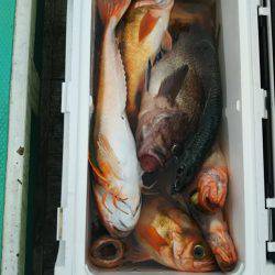 モンロー号 釣果