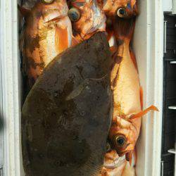 モンロー号 釣果