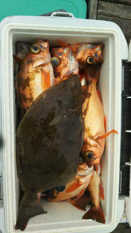 モンロー号 釣果