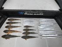 オーシャンマスター 釣果