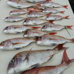 オーフリー 釣果