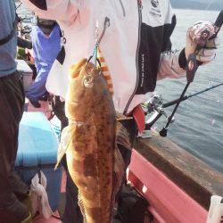 第八平成丸 釣果