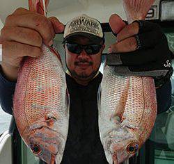 松本釣船２ 釣果