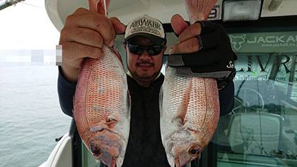 松本釣船２ 釣果