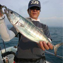 マタウマリンサービス 釣果