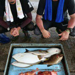明神釣船 釣果