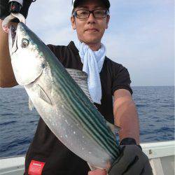 マタウマリンサービス 釣果