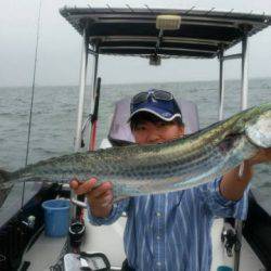 オーシャンマスター 釣果