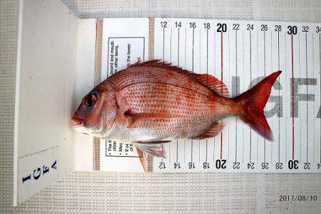 フルコンタクト 釣果