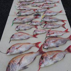 オーフリー 釣果