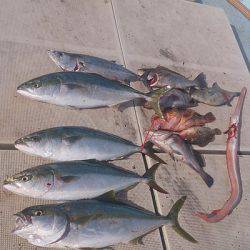 旭星釣りセンター 釣果