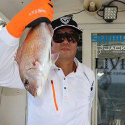 松本釣船２ 釣果