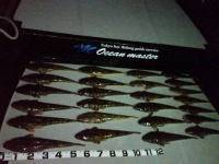 オーシャンマスター 釣果