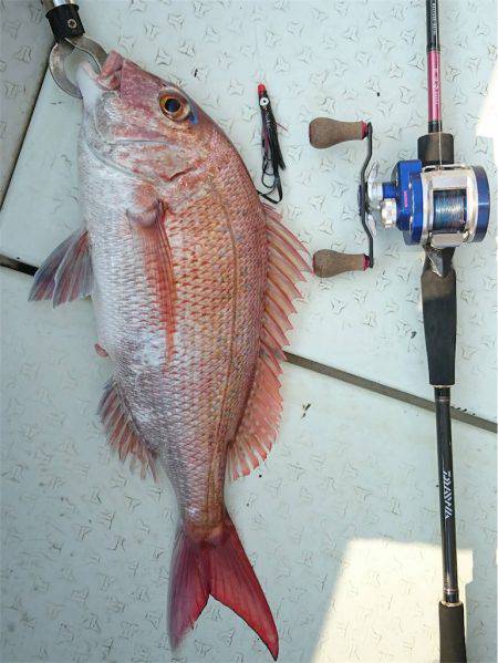 マタウマリンサービス 釣果