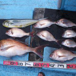 海宝丸 釣果