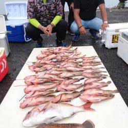 オーフリー 釣果