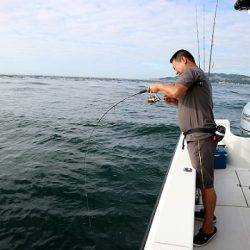 フルコンタクト 釣果