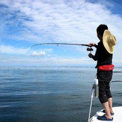 フルコンタクト 釣果