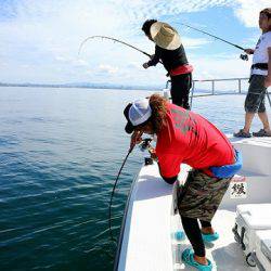 フルコンタクト 釣果