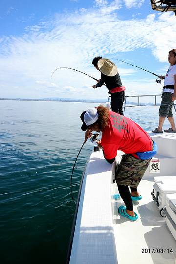 フルコンタクト 釣果