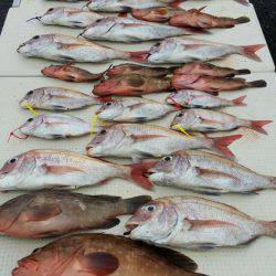 オーフリー 釣果