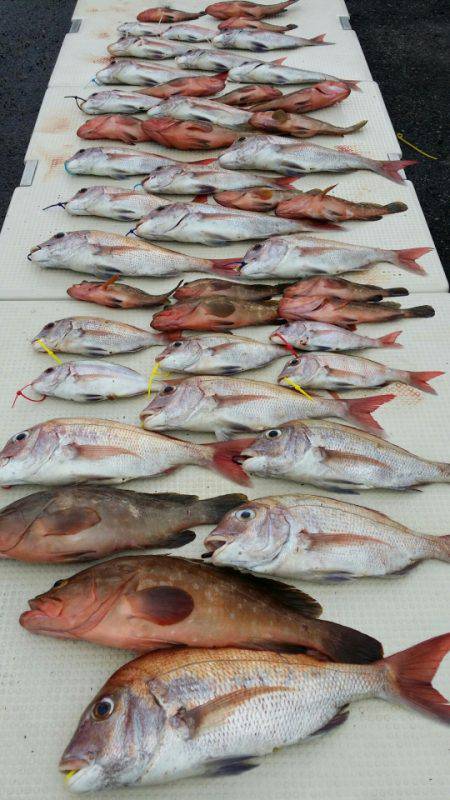 オーフリー 釣果