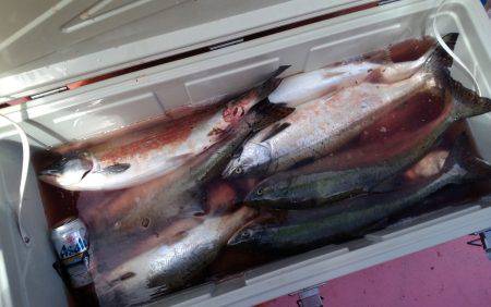 第八平成丸 釣果