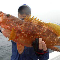 星龍丸 釣果