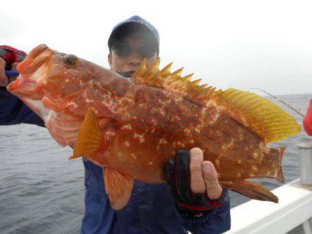 星龍丸 釣果