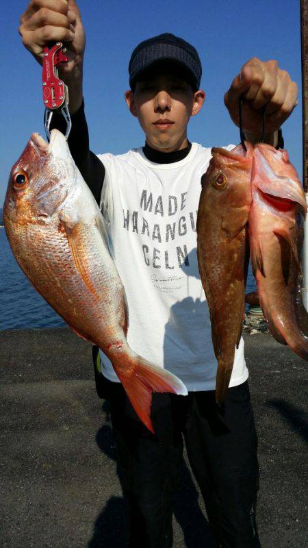 オーフリー 釣果