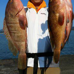 オーフリー 釣果