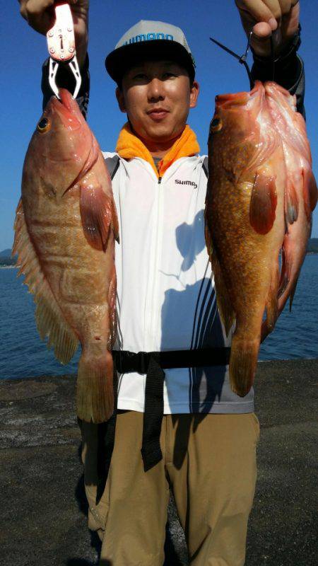 オーフリー 釣果