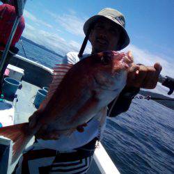 ファイヤードルフィン 釣果