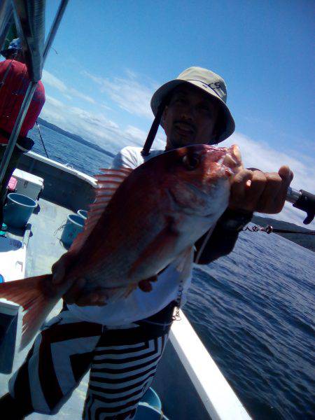 ファイヤードルフィン 釣果