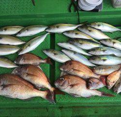 利弥丸（としやまる） 釣果