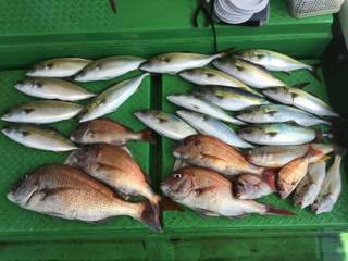 利弥丸（としやまる） 釣果