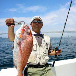 フルコンタクト 釣果