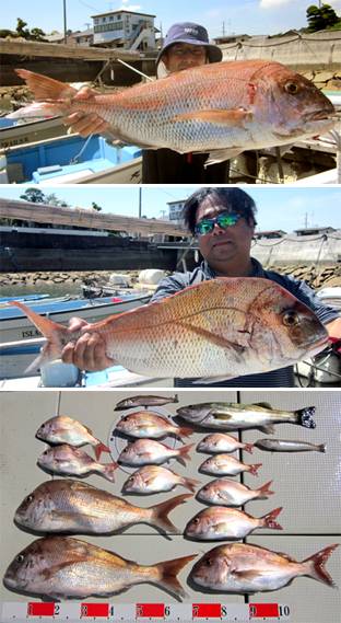 来温丸（らいおんまる） 釣果