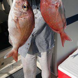 オーフリー 釣果