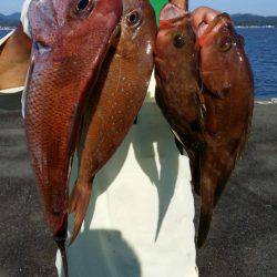 オーフリー 釣果