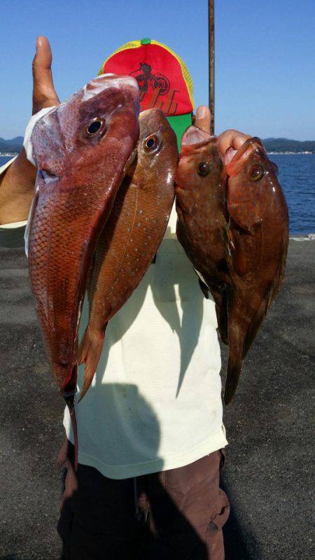 オーフリー 釣果