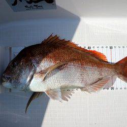 フルコンタクト 釣果