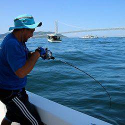 フルコンタクト 釣果