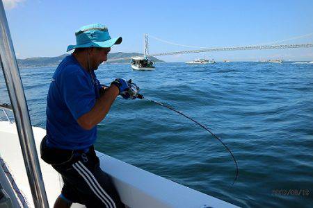 フルコンタクト 釣果